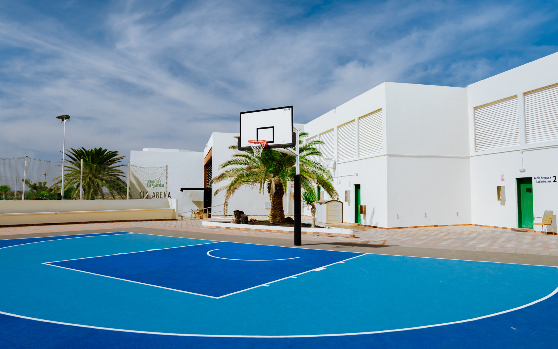 Basketball